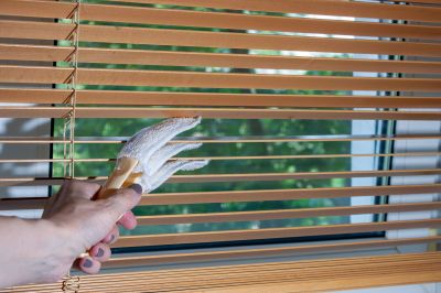 Cellular Blinds Cleaning in Worcester, MA